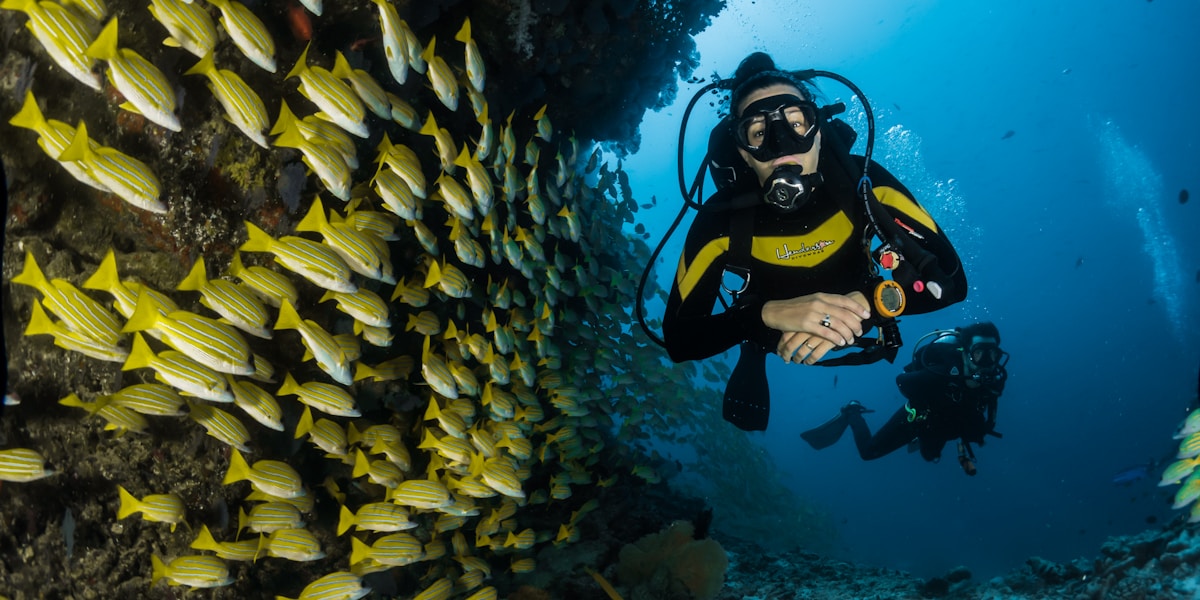 Best Dive Sites on Maui's West Side