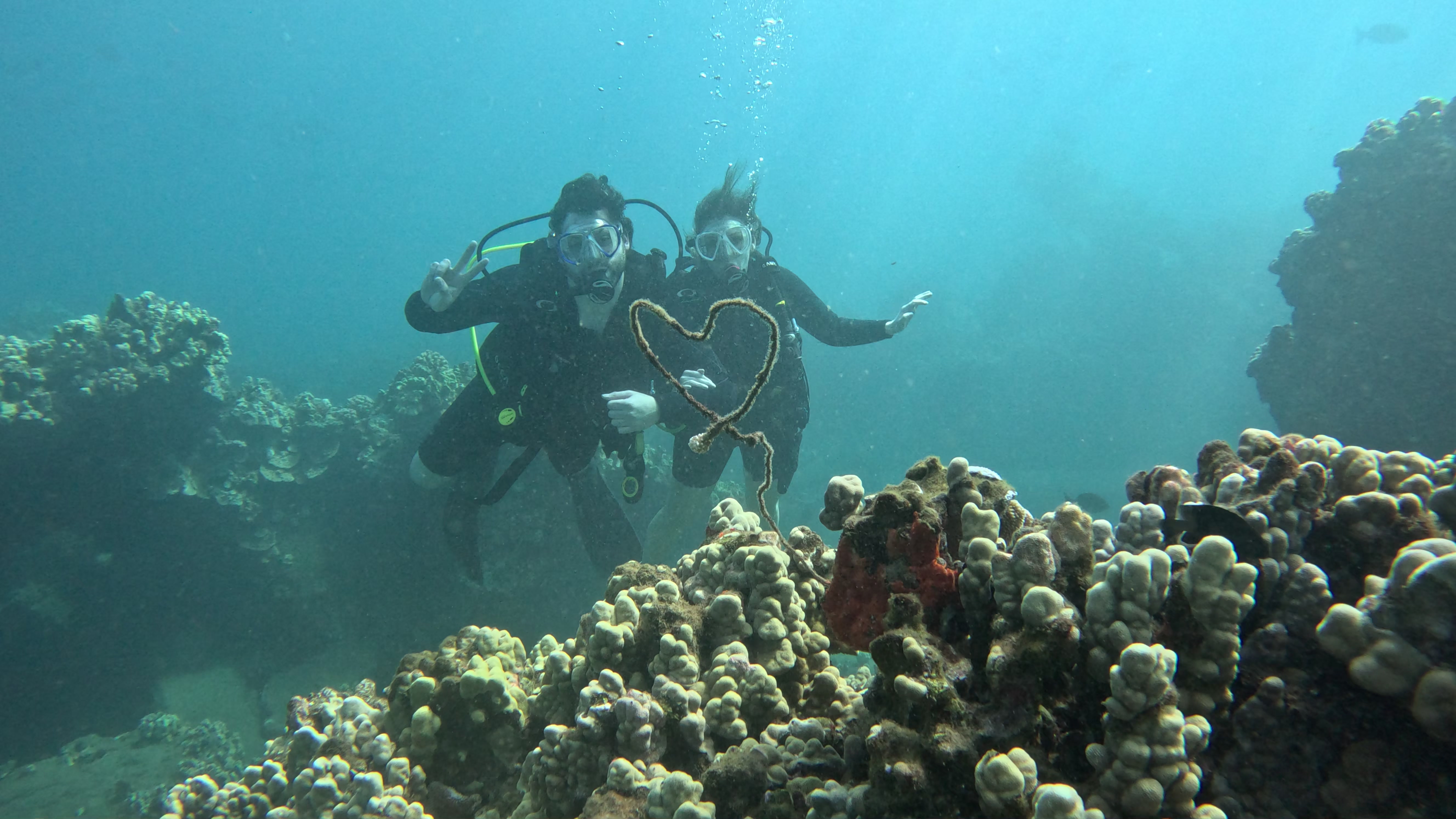 Boat Dive Sites from Kihei, Maui: Lanai Cathedrals, Carthaginian Wreck & More (2026)