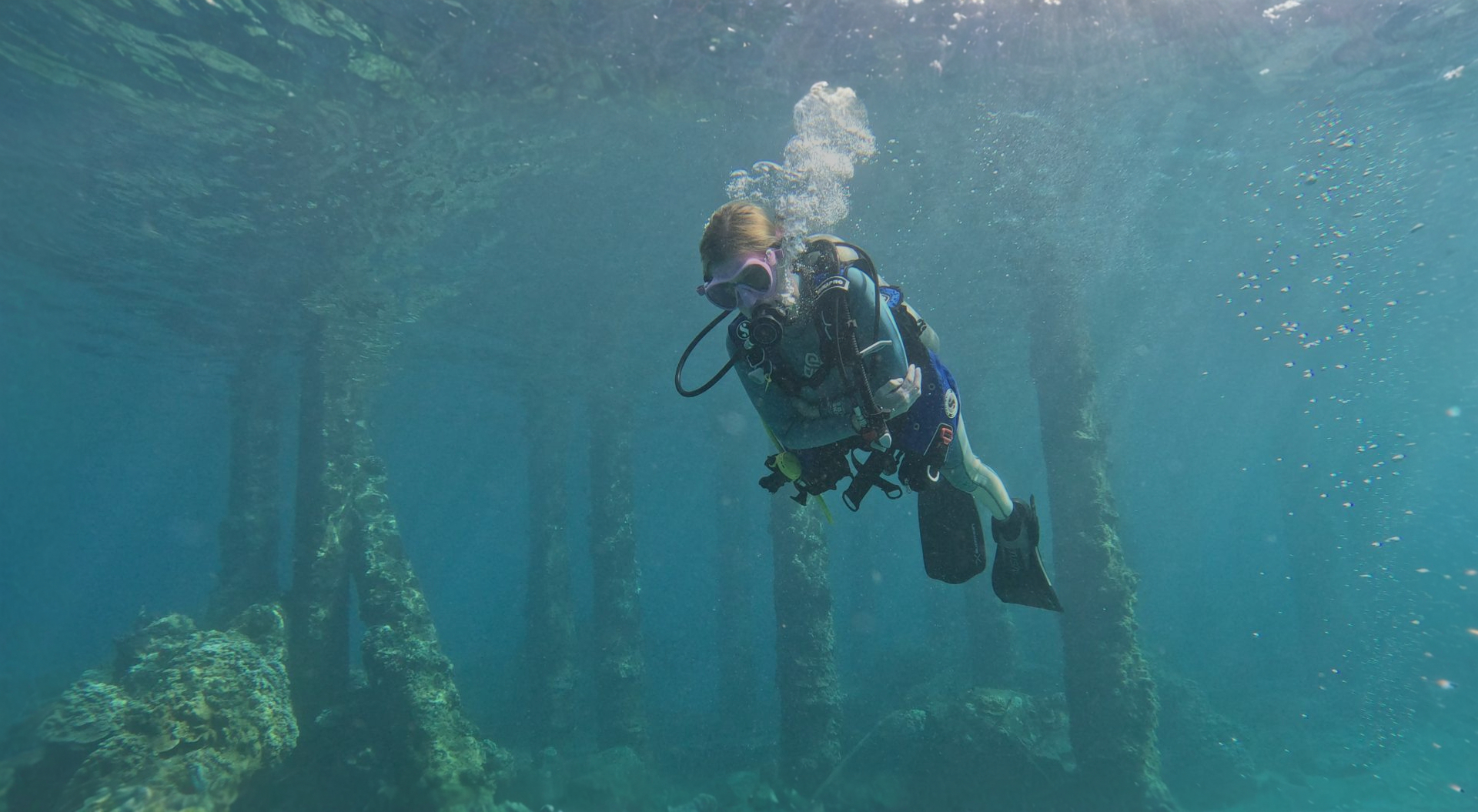 Maui Dive Sites