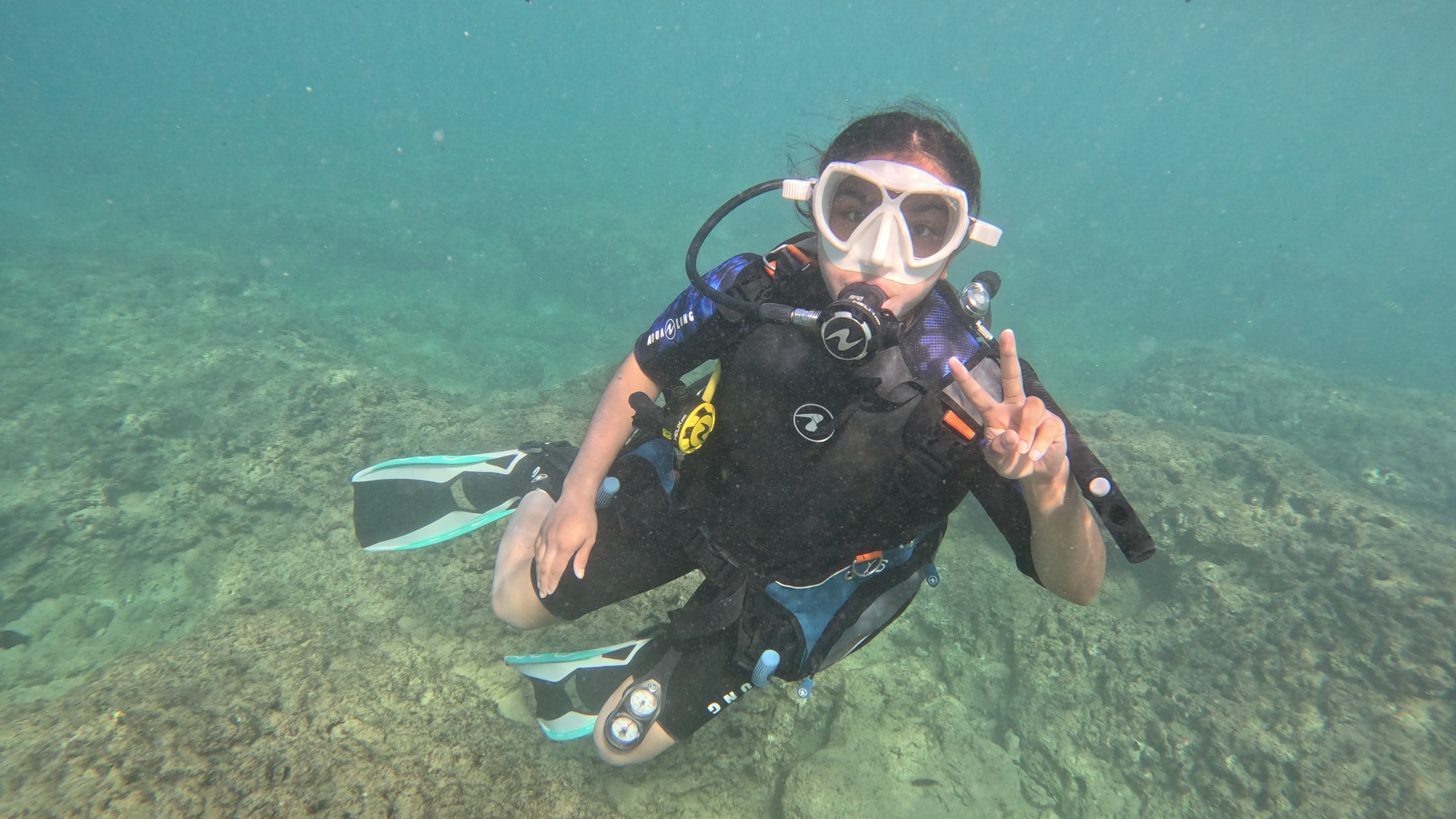 Guided shore dive