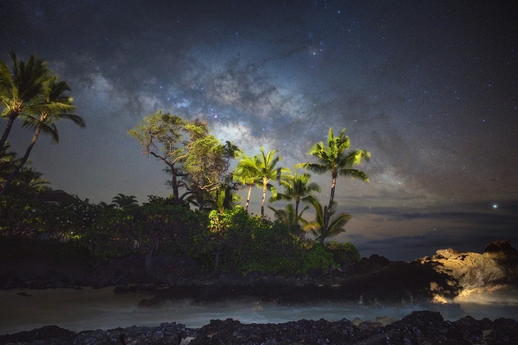 Night Dives in Maui: Your Guide to Diving After Dark in Kihei (2026)