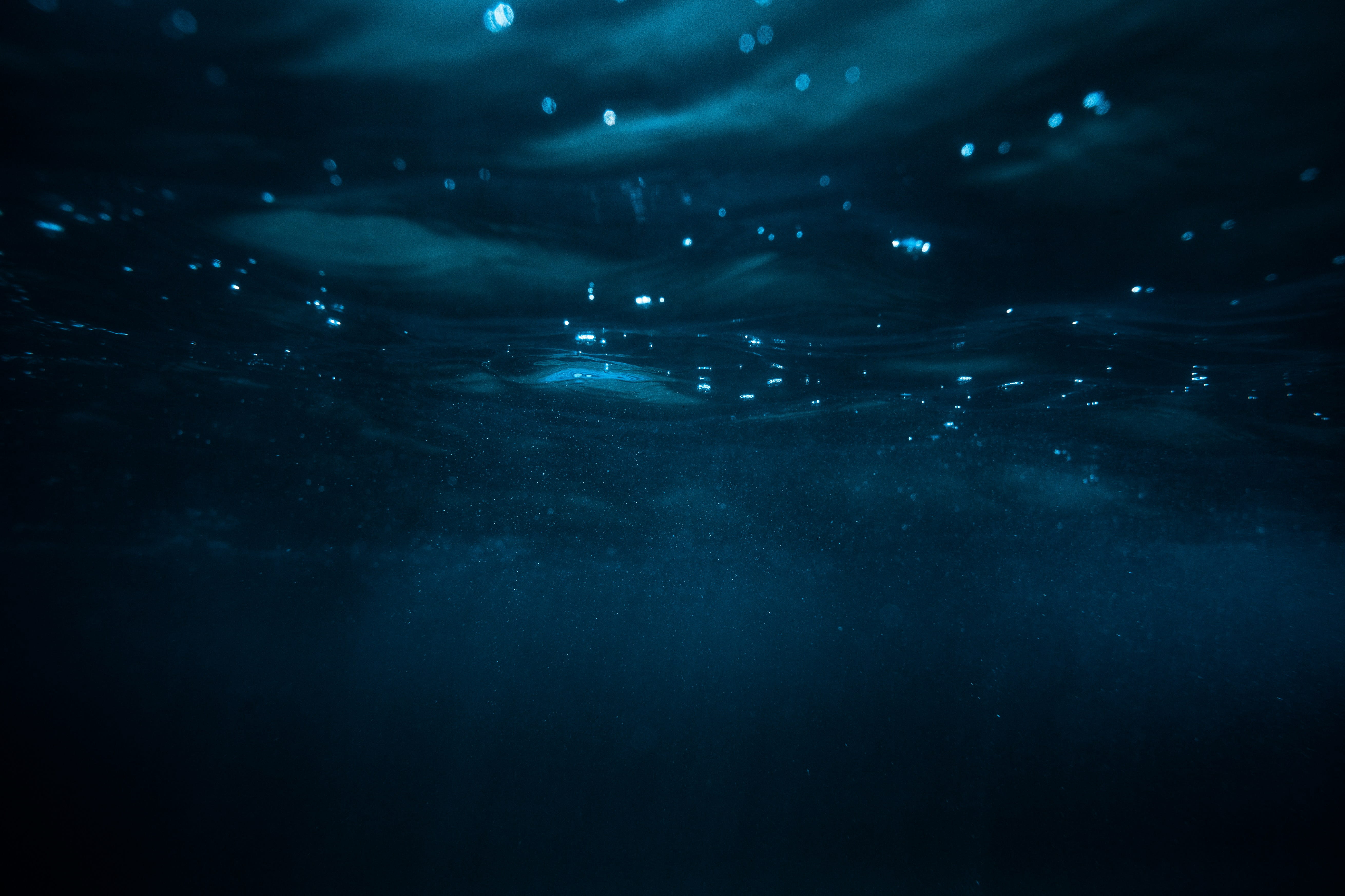 why night diving in maui is worth it shot of underwater maui at night time in the gleam of a flashlight